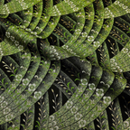 Luminous Floral Stream (Green)
