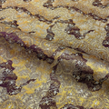 Vine Motif on Layered Pattern