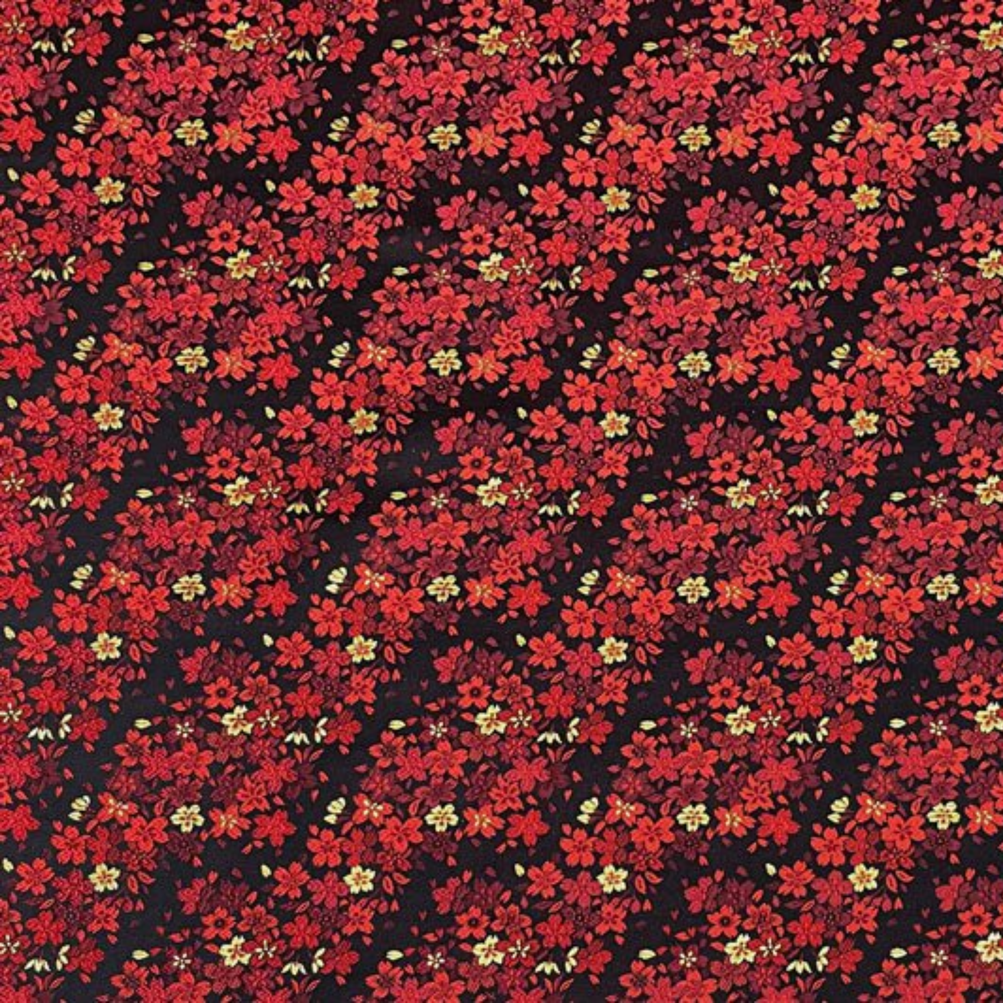 Night Cherry Blossoms (Red)