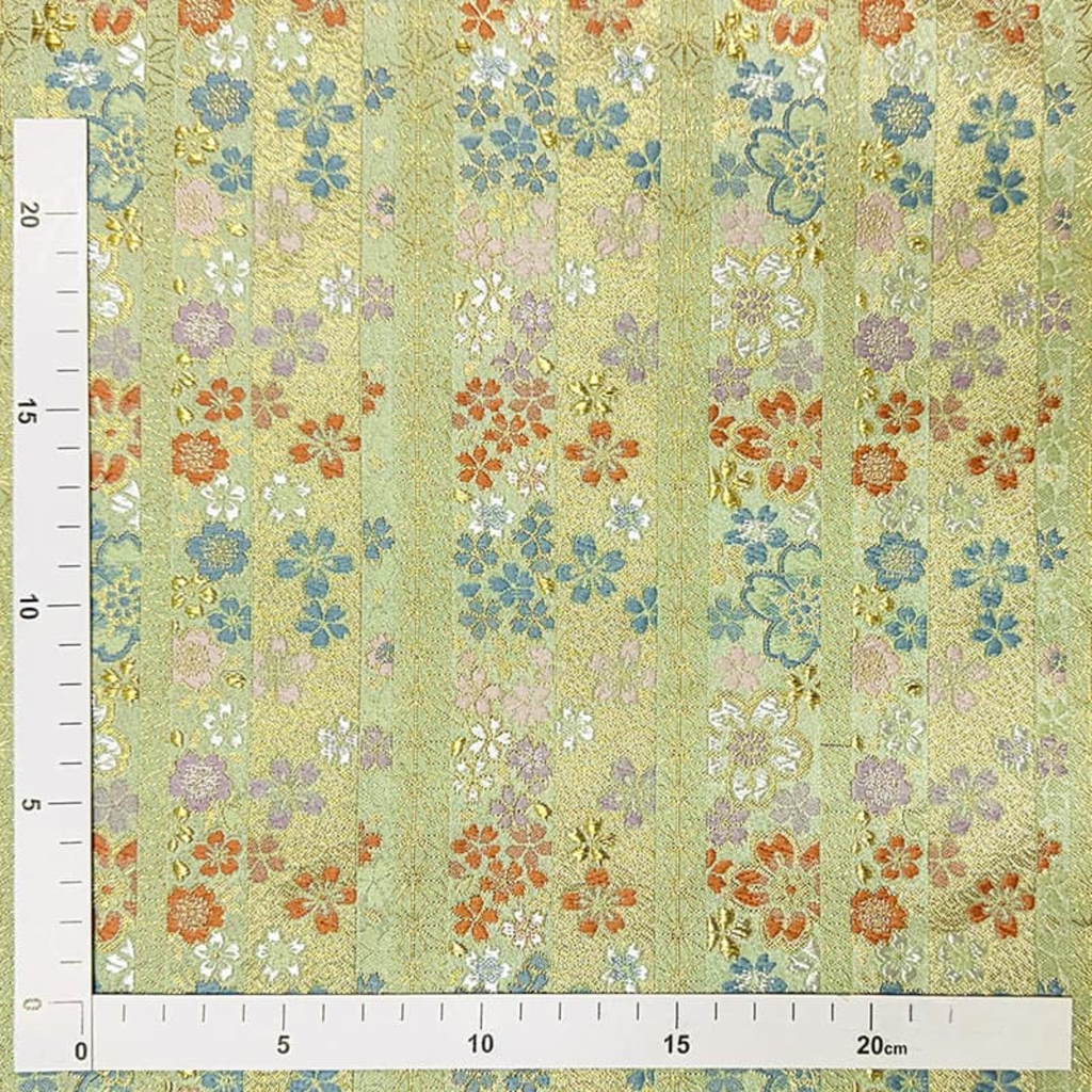 Sakura on Striped Path