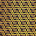 Imperial Tortoiseshell Harmony