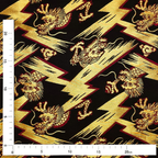 Lightning Dragon Ascendant